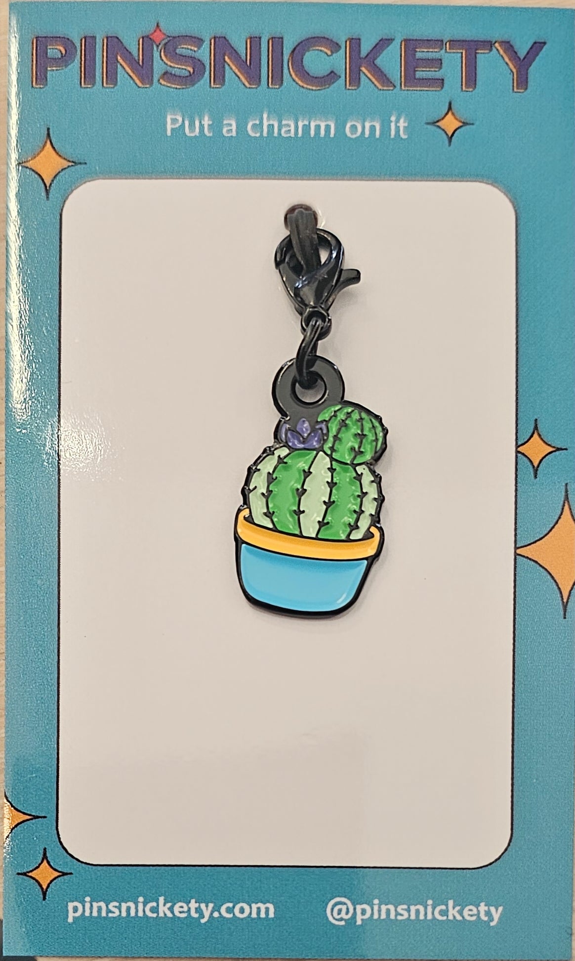 Cactus Charm