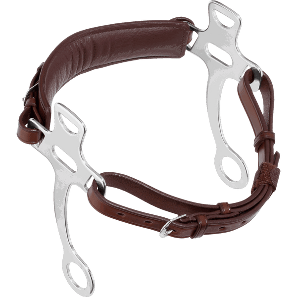 English Hackamore