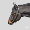 The In Gate New Standard™ Leather Halter