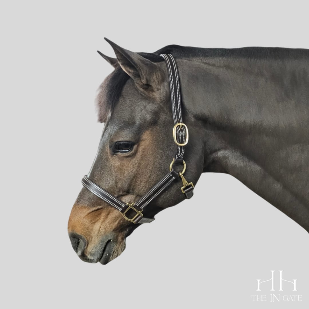 The In Gate New Standard™ Leather Halter