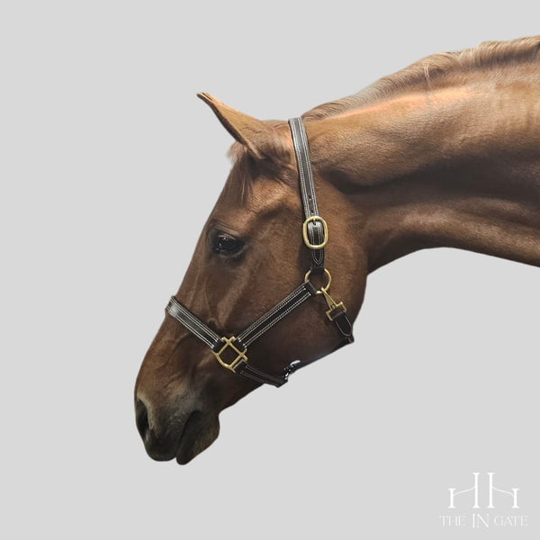 The In Gate New Standard™ Leather Halter